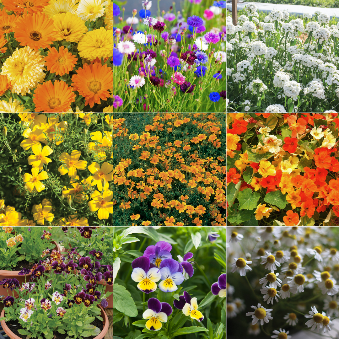 Growers Choice Florals - 4 Variety Mix